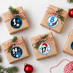 Adventskalenderzahlen Floorball